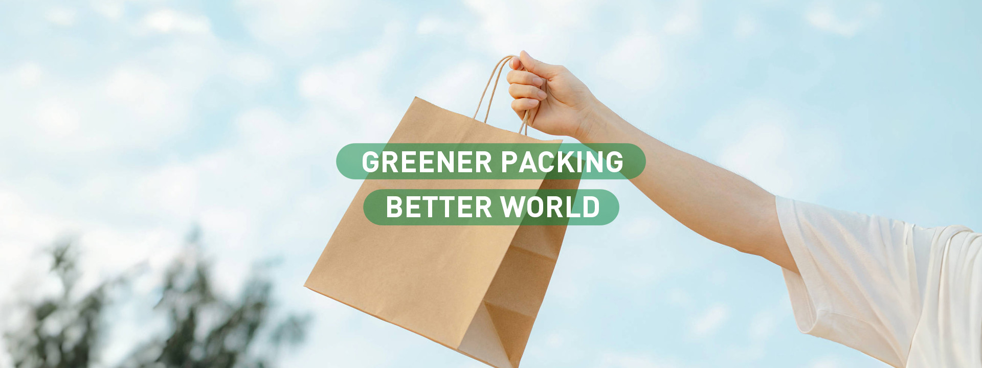 Quality Recyclable Paper Bag factory